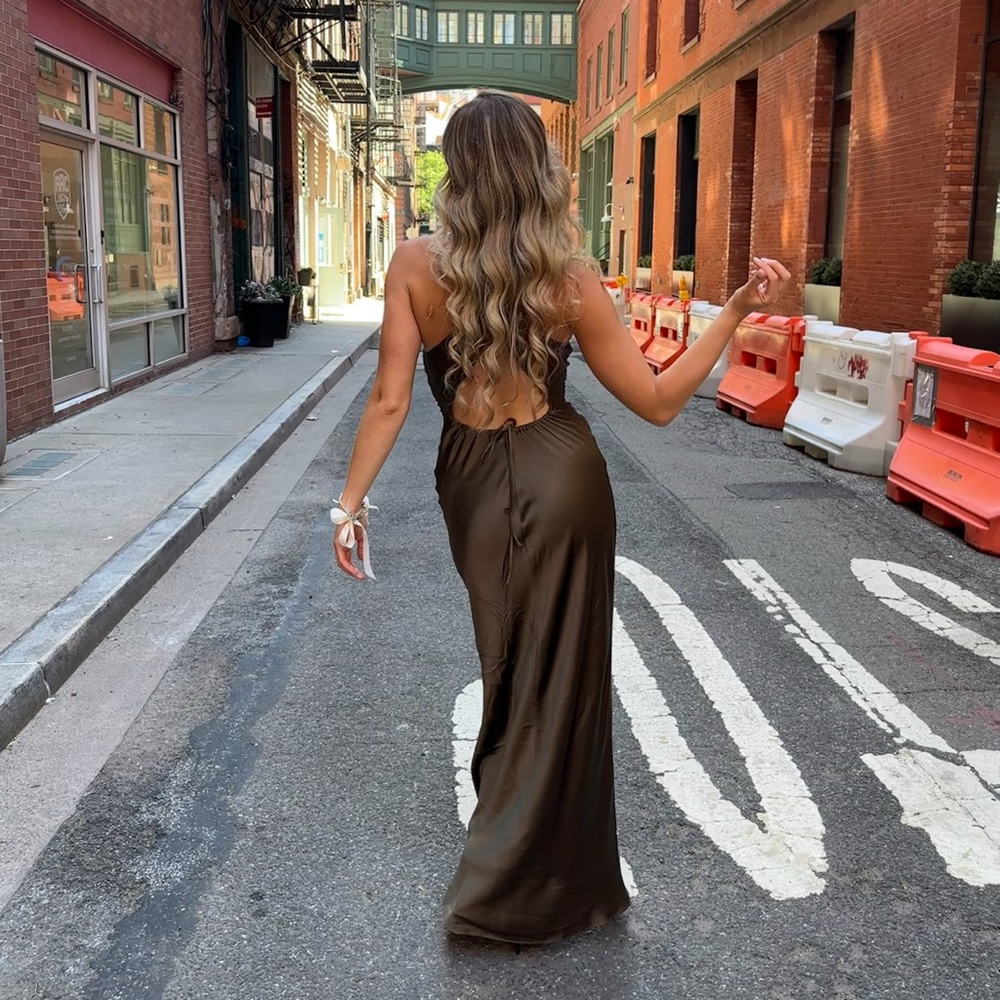 Elegant Reformation Anaiis Silk Dress - Picture 9 of 16